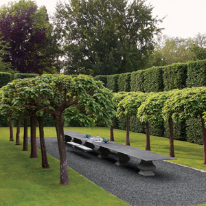 Abundant Landscape Across the Community